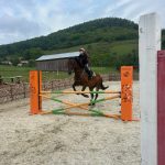 WhatsApp Image 2026-01-15 at 00.22.58