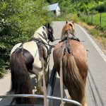 WhatsApp Image 2026-01-15 at 00.22.59 (1)