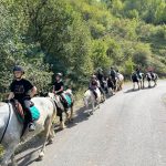 WhatsApp Image 2026-01-15 at 00.22.59 (15)