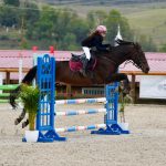 WhatsApp Image 2026-01-15 at 00.22.59 (17)