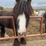 WhatsApp Image 2026-01-15 at 00.22.59 (18)