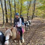 WhatsApp Image 2026-01-15 at 00.22.59 (21)