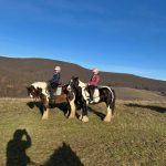 WhatsApp Image 2026-01-15 at 00.22.59 (26)