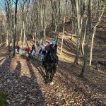 WhatsApp Image 2026-01-15 at 00.22.59 (27)