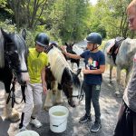 WhatsApp Image 2026-01-15 at 00.22.59 (3)