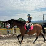 WhatsApp Image 2026-01-15 at 00.22.59 (9)