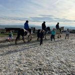 WhatsApp Image 2026-01-15 at 00.23.00